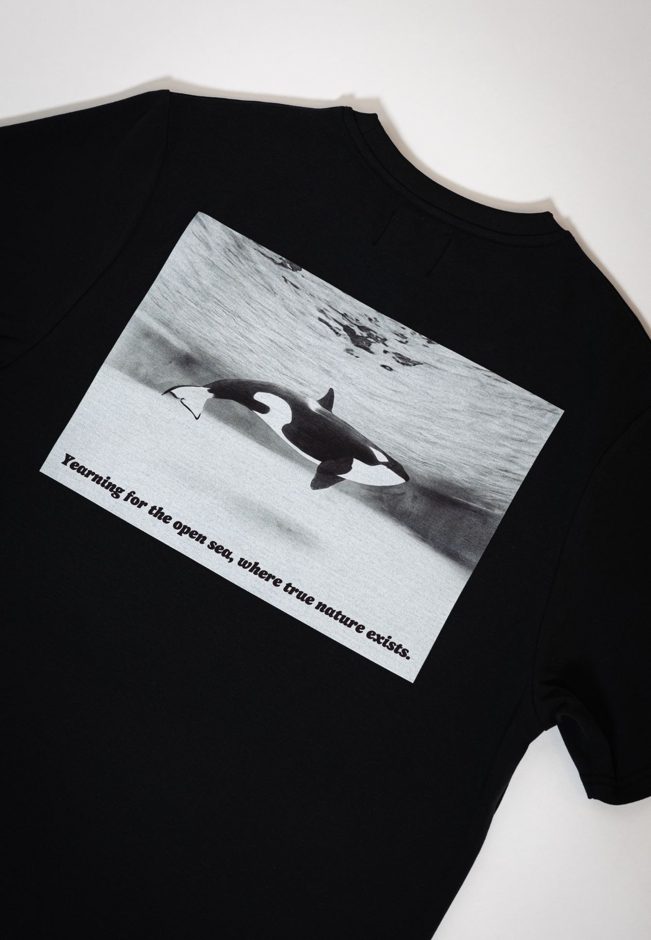 Orca - T-Shirt