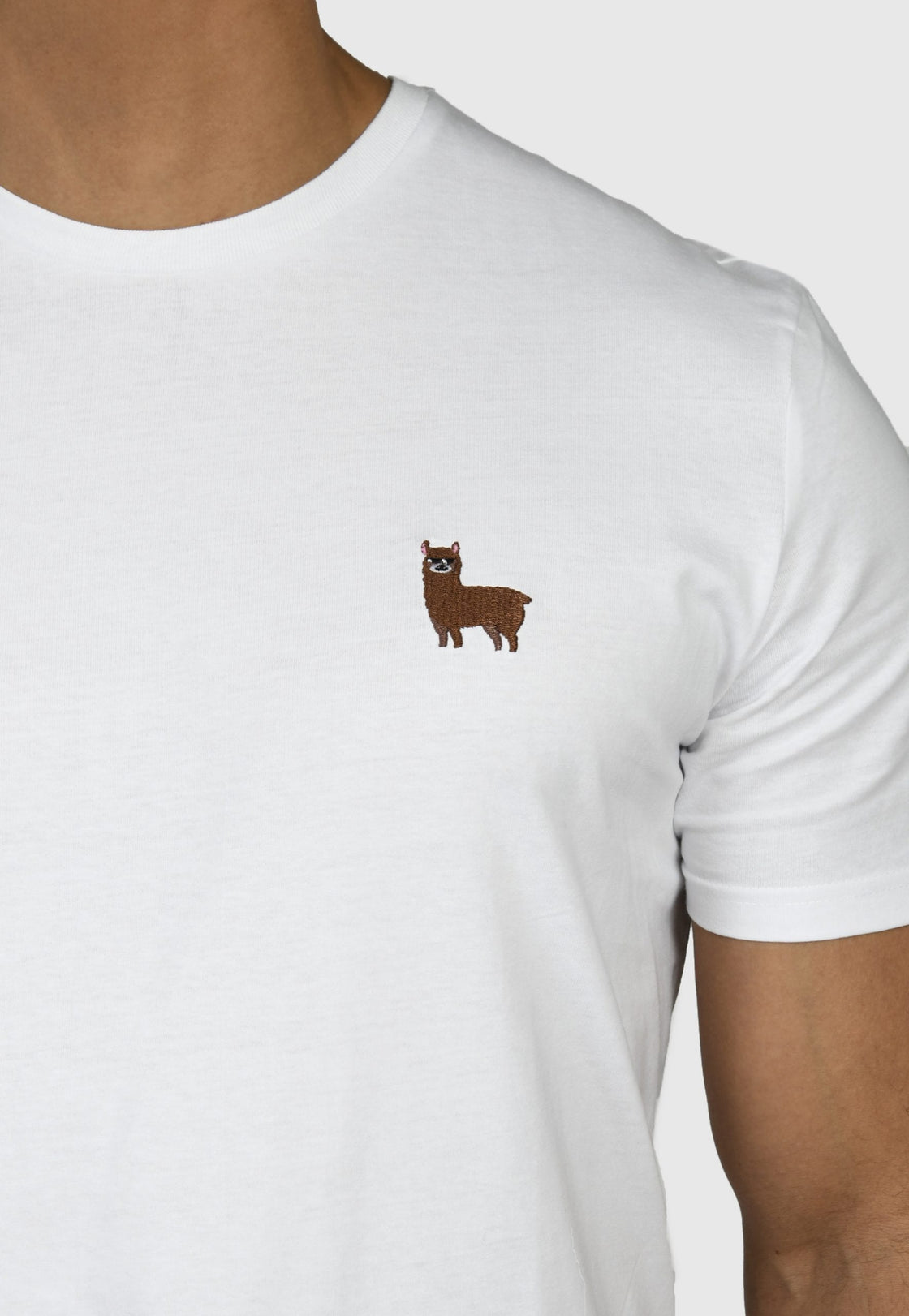 Alpaca T-shirt
